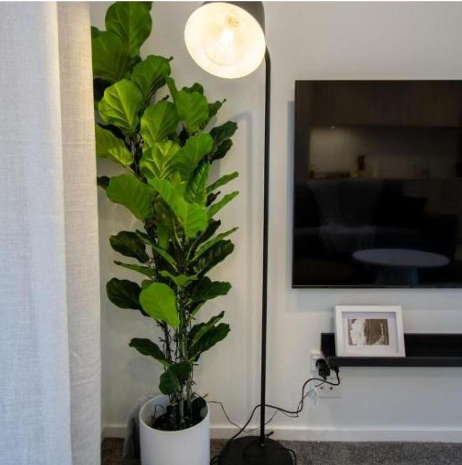 A Touch Of Luxury In Chch Cbd Apartment ไครสต์เชิร์ช ภายนอก รูปภาพ